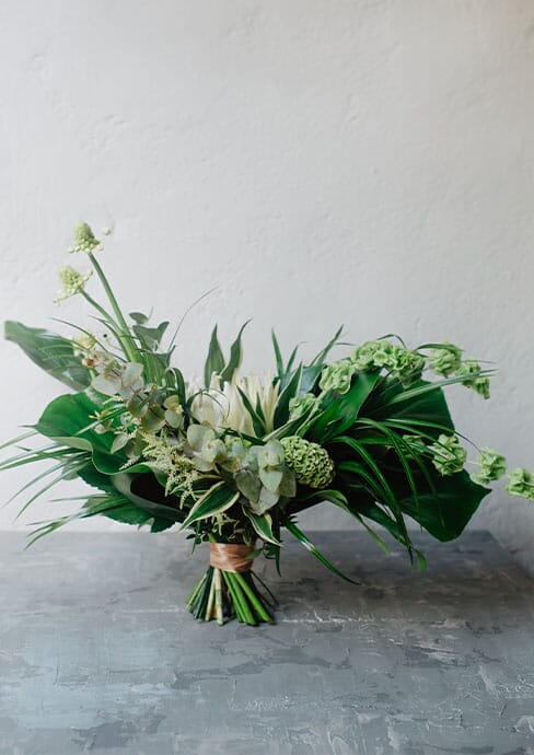 The Select Experience - Flores & Plantas